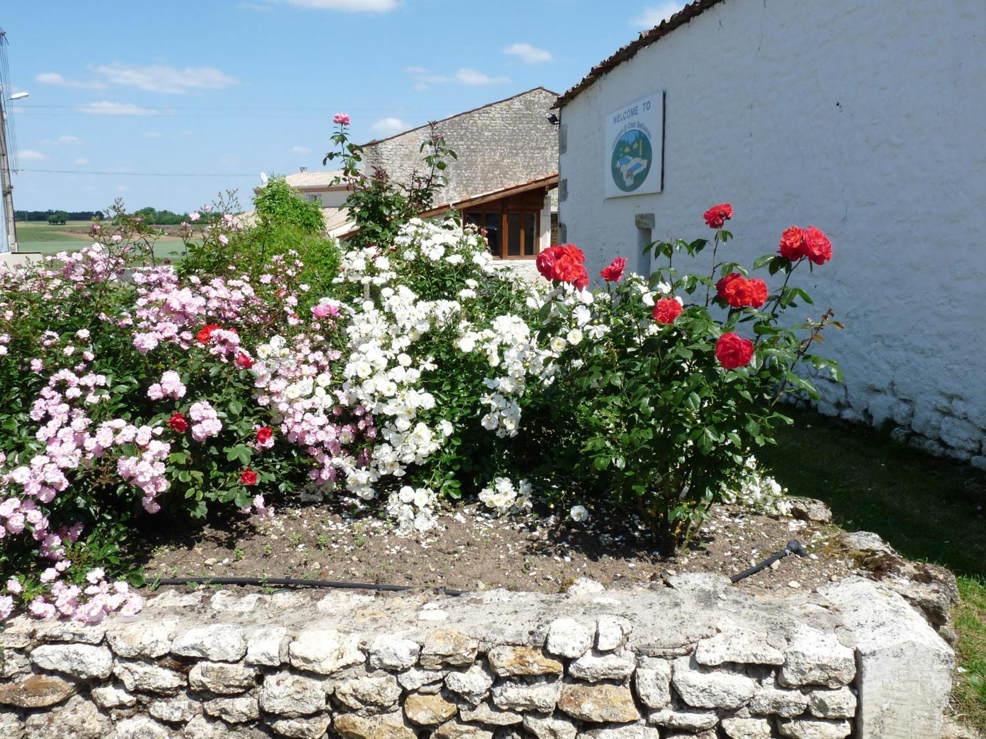 Gites Chez Belliveau Meursac Exterior photo